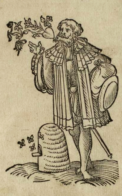 Grabado de Erasmo en el que una figura masculina que mira a la izquierda emite por la boca elementos dulces